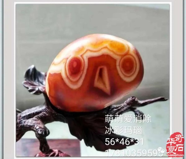 全国奇石免费展示（第75期） 组图