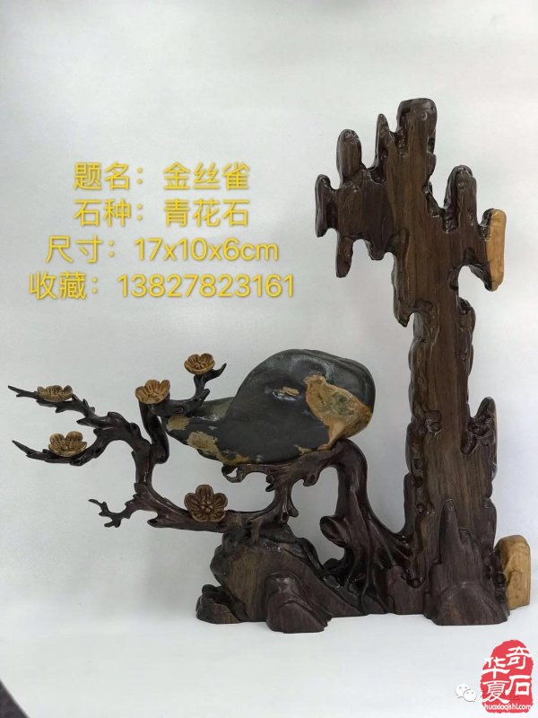 全国奇石免费展示（第75期） 组图