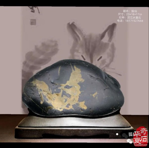 全国奇石免费展示（第75期） 组图
