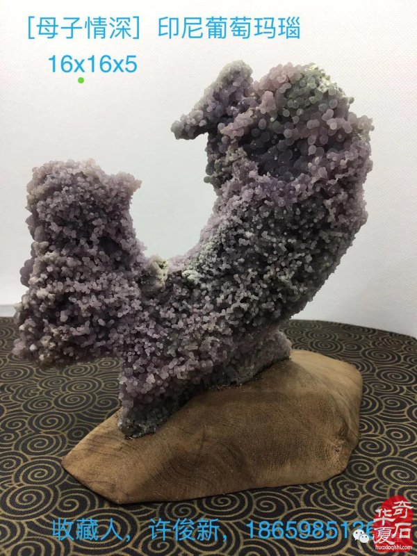 全国奇石免费展示（第75期） 组图
