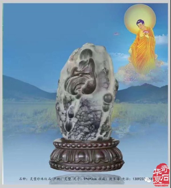 全国奇石免费展示（第75期） 组图