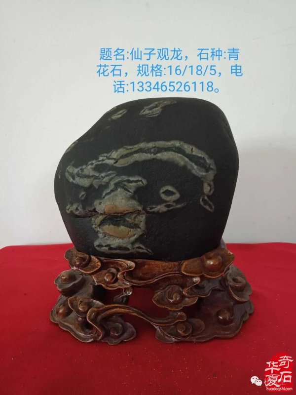 全国奇石免费展示（第75期） 组图
