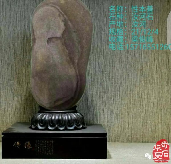 全国奇石免费展示（第75期） 组图