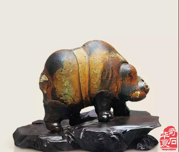 捡漏就是买家买了卖家没有读明白的石头 图