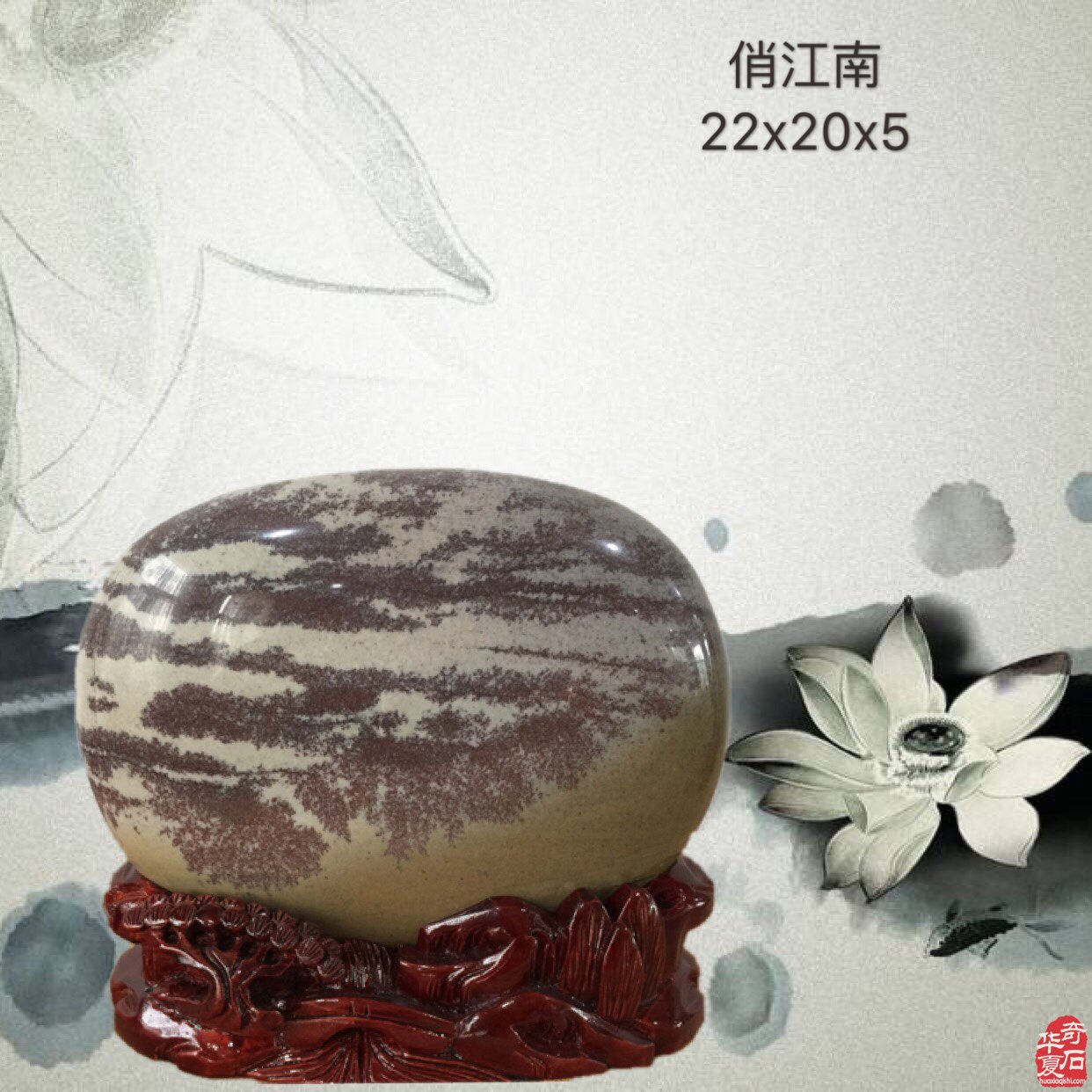 捡漏就是买家买了卖家没有读明白的石头 图