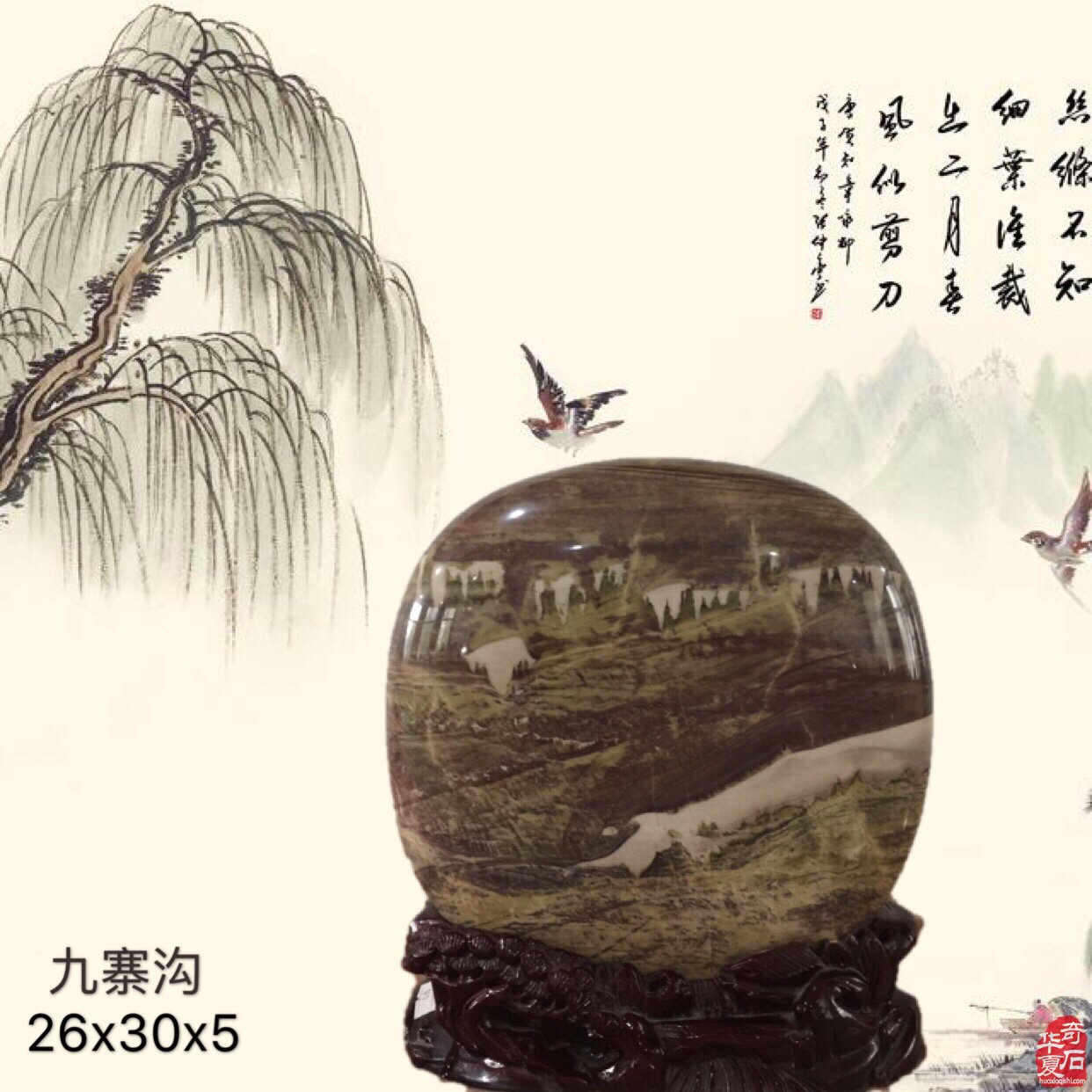 捡漏就是买家买了卖家没有读明白的石头 图