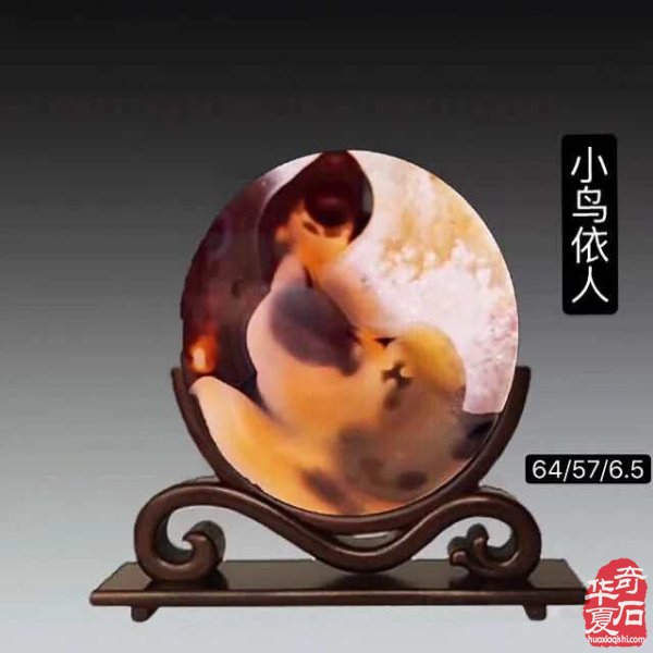 《海洋玉髓一一美丽动人》(人物版)
