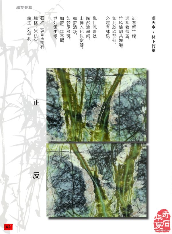 《于公赏石》为石友提供石界精彩信息 图