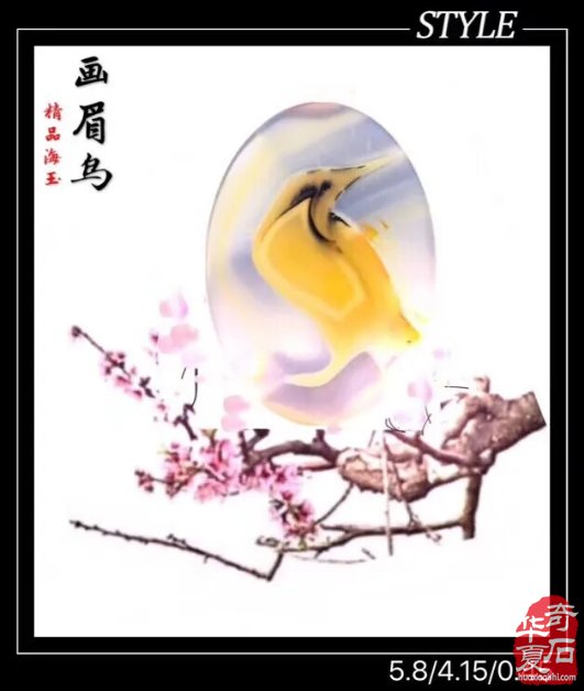 《海洋玉髓一一鸟语花香》(花鸟版)