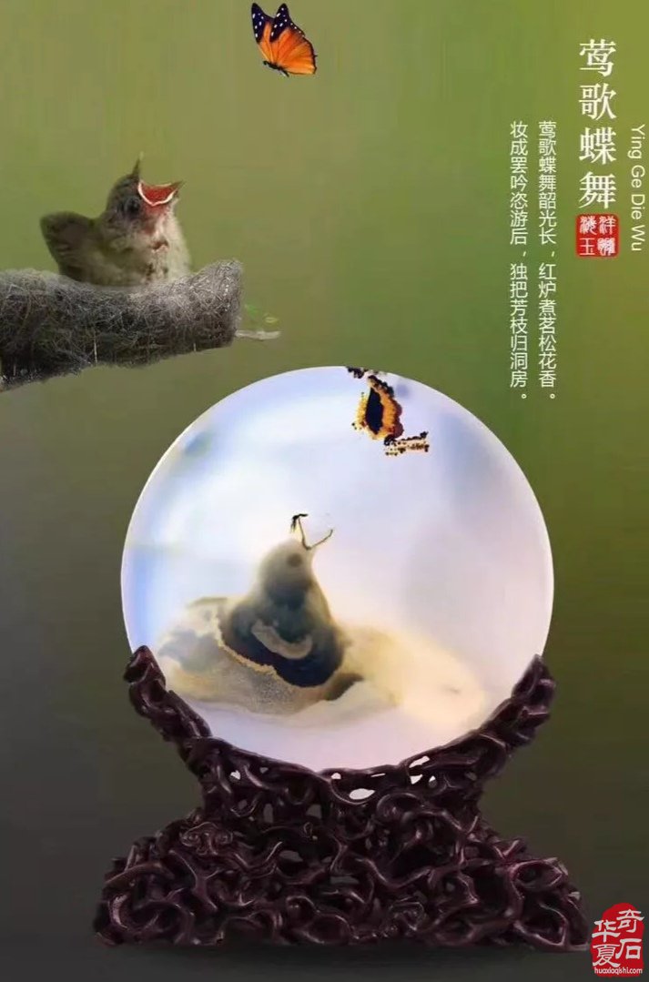 《海洋玉髓一一鸟语花香》(花鸟版)