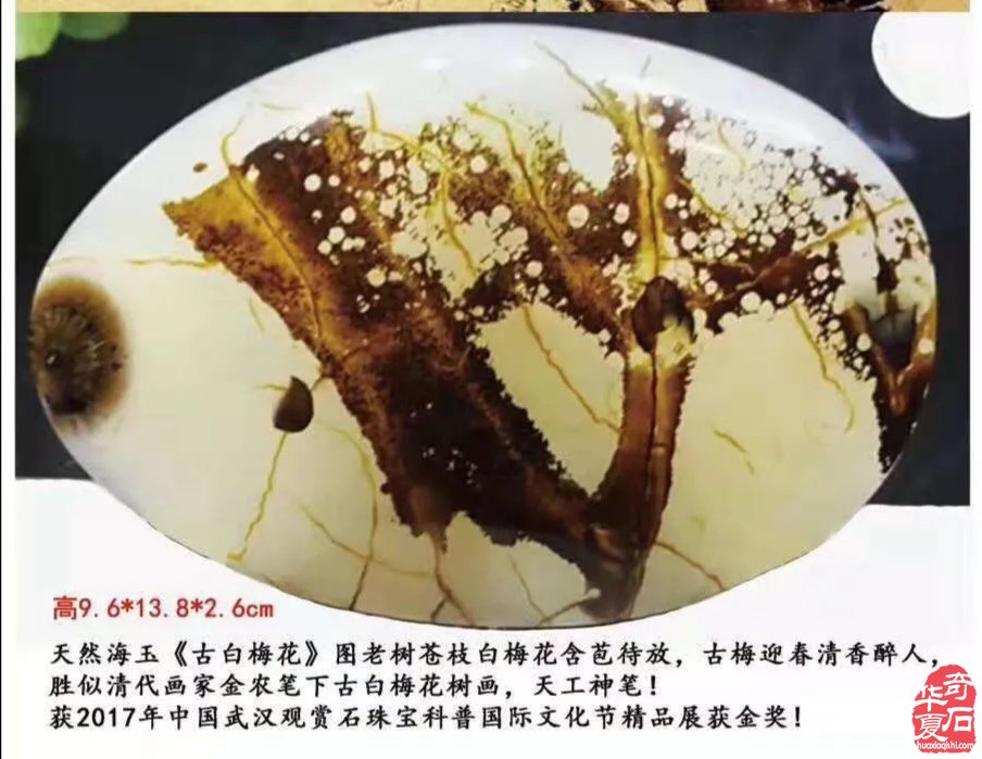 《海洋玉髓一一鸟语花香》(花鸟版)