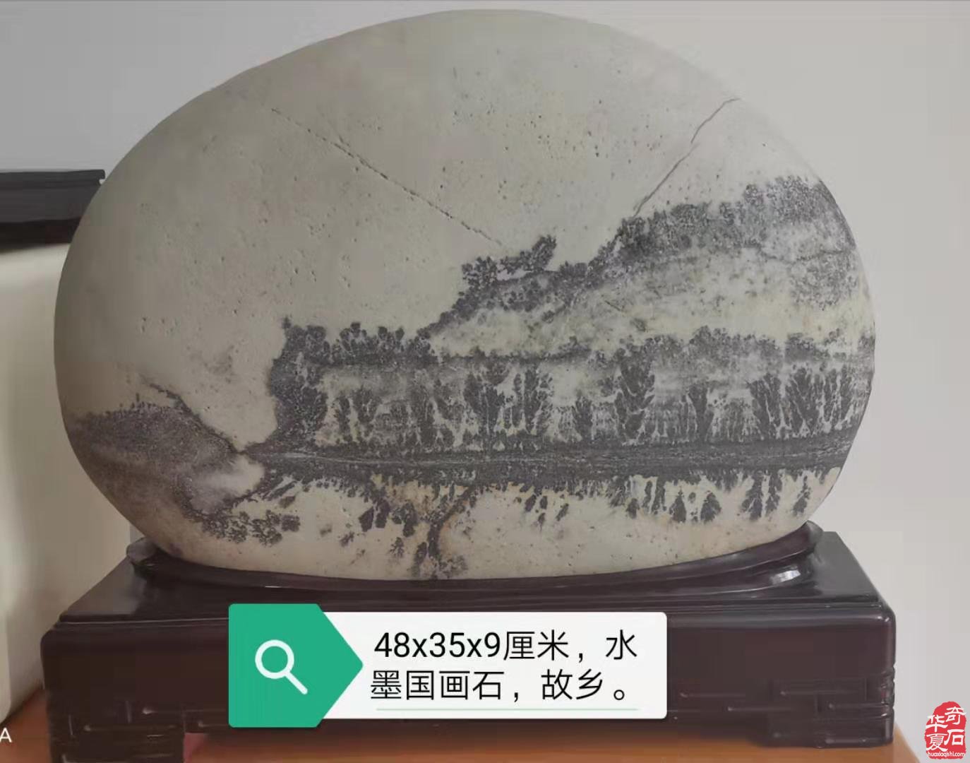 四川绵阳奇石玩家杨增武藏石欣赏 图