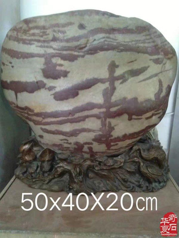 四川绵阳奇石玩家杨增武藏石欣赏 图