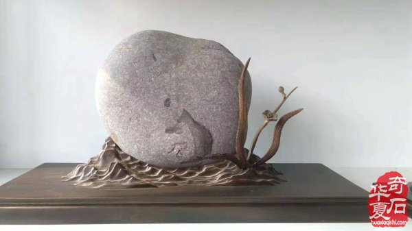 四川绵阳奇石玩家杨增武藏石欣赏 图