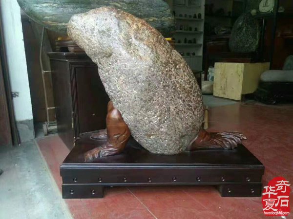 四川绵阳奇石玩家杨增武藏石欣赏 图