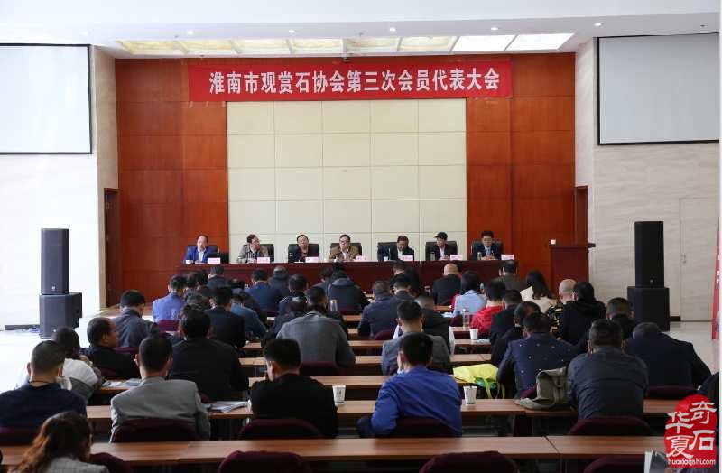 吴纯泽当选淮南市观赏石协会新一届会长 图