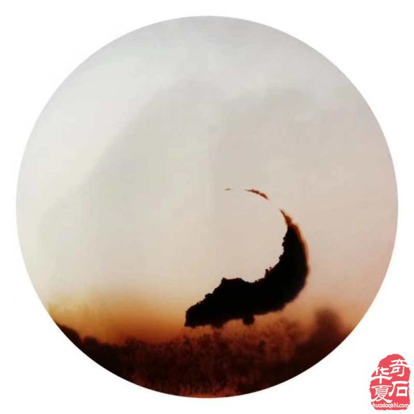 《海洋玉髓一一鱼翔浅底》(鱼儿版)