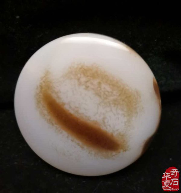 《海洋玉髓一一鱼翔浅底》(鱼儿版)