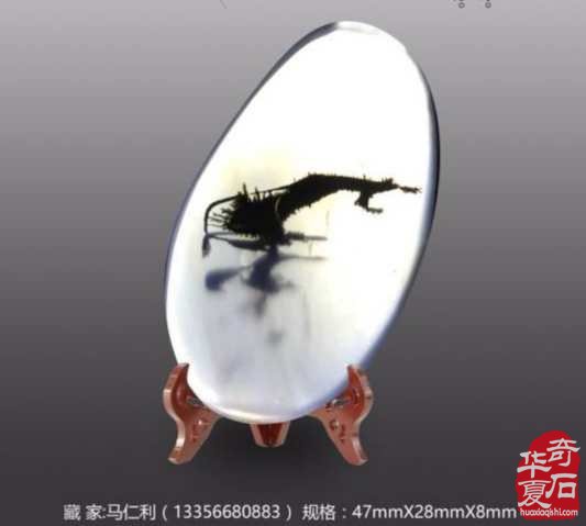 《海洋玉髓一一鱼翔浅底》(鱼儿版)