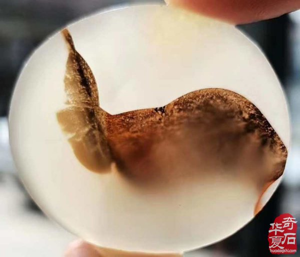 《海洋玉髓一一鱼翔浅底》(鱼儿版)