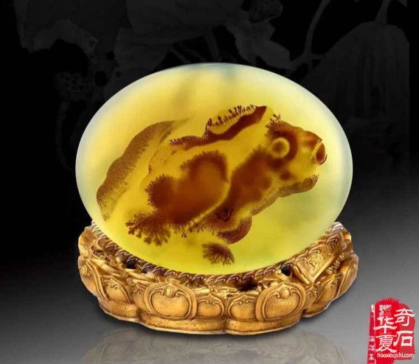 《海洋玉髓一一鱼翔浅底》(鱼儿版)