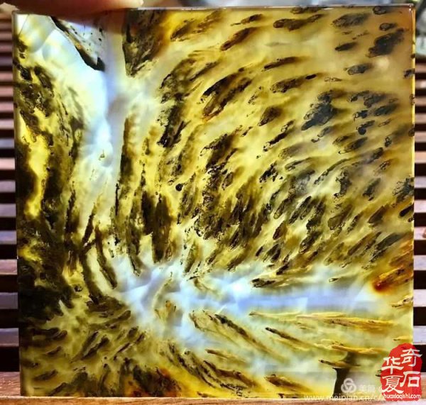 《海洋玉髓一一鱼翔浅底》(鱼儿版)