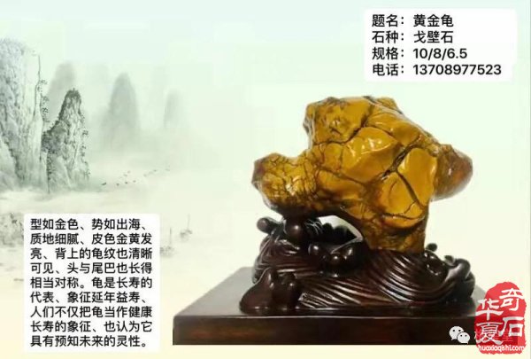 全国奇石免费展示（第76期节选）