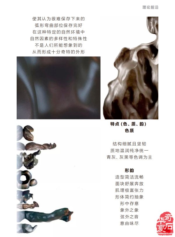 看《于公赏石》 领略当今石界风采 图