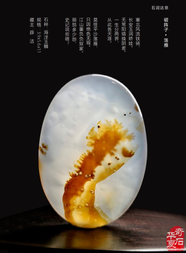 《于公赏石》探秘中国赏石文化之都洛阳