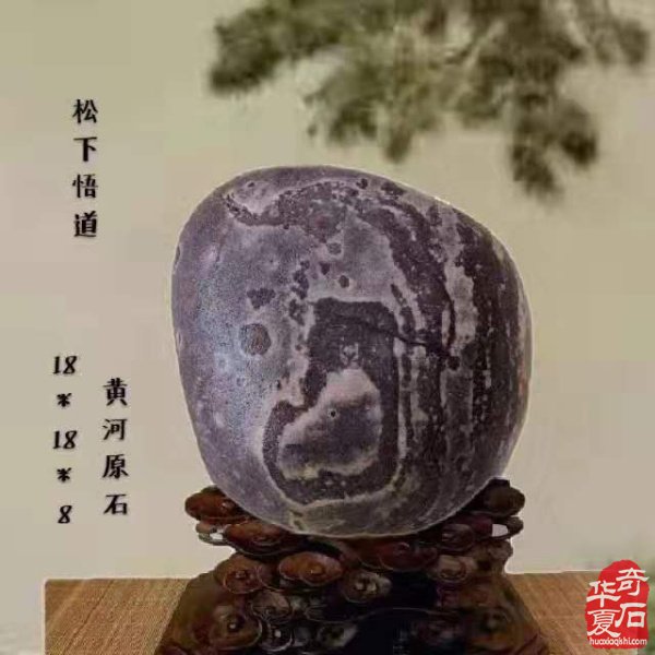 洛阳石界女强人陈忆秋与她的《秋石轩》 图