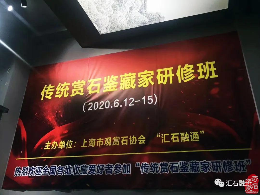 海派赏石有大动作 杜海鸥致辞研修班开班