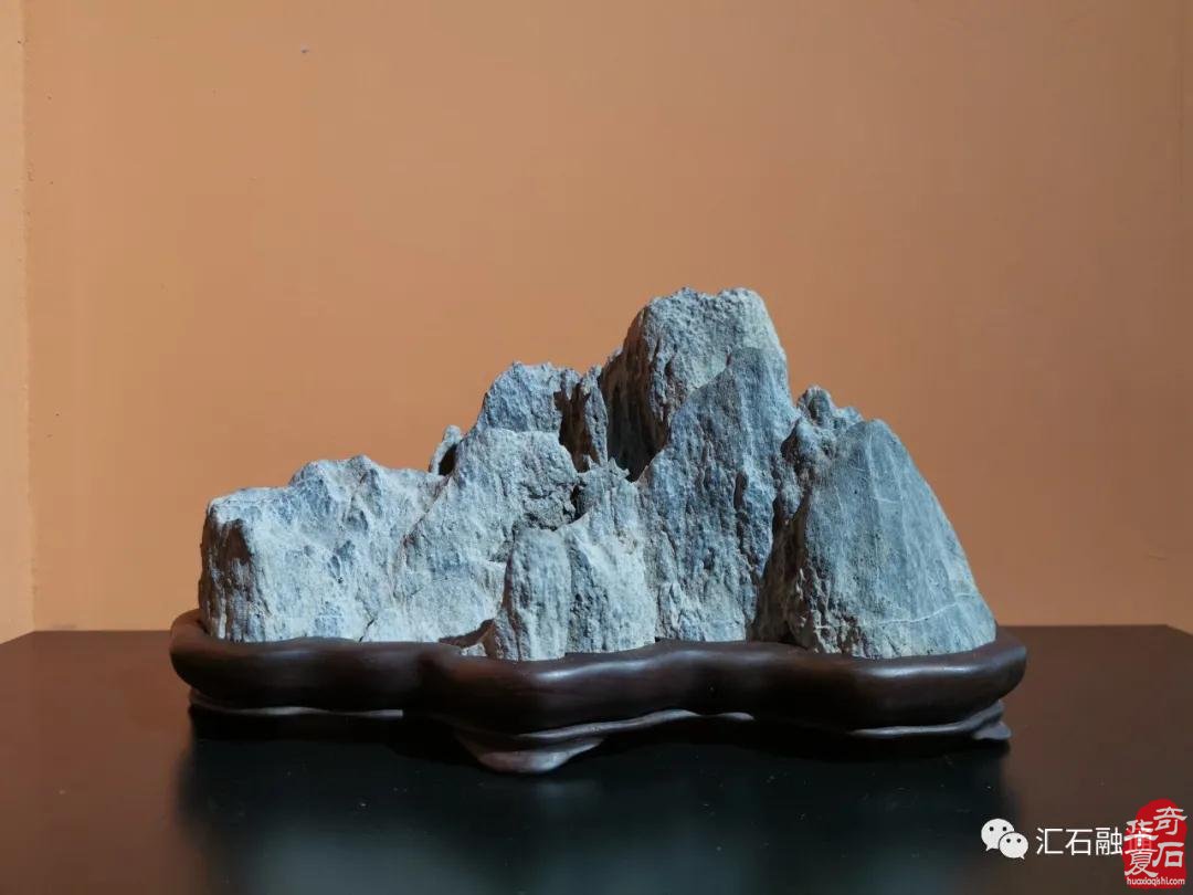海派赏石有大动作 杜海鸥致辞研修班开班