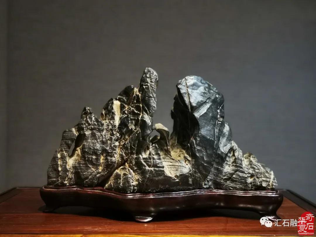 海派赏石有大动作 杜海鸥致辞研修班开班