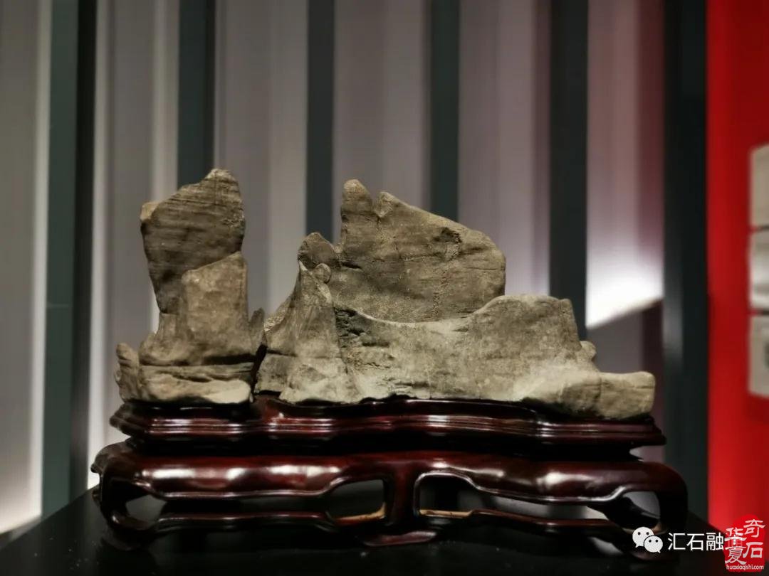 海派赏石有大动作 杜海鸥致辞研修班开班