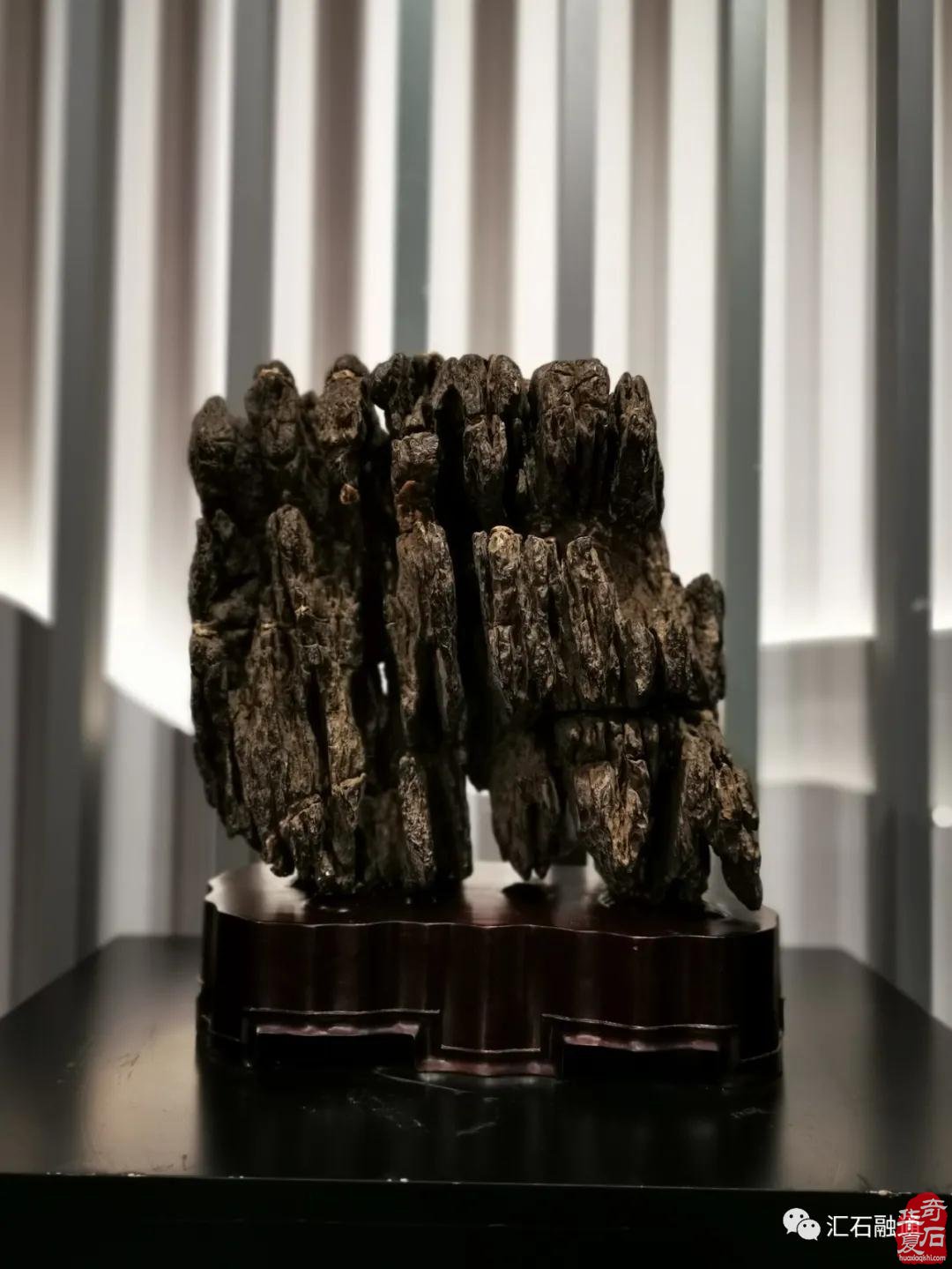 海派赏石有大动作 杜海鸥致辞研修班开班