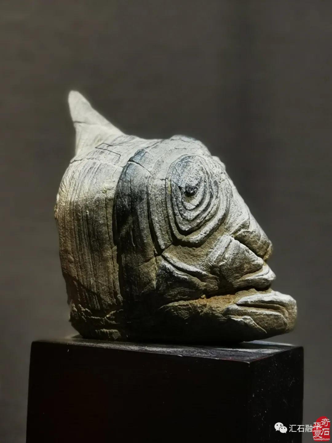海派赏石有大动作 杜海鸥致辞研修班开班
