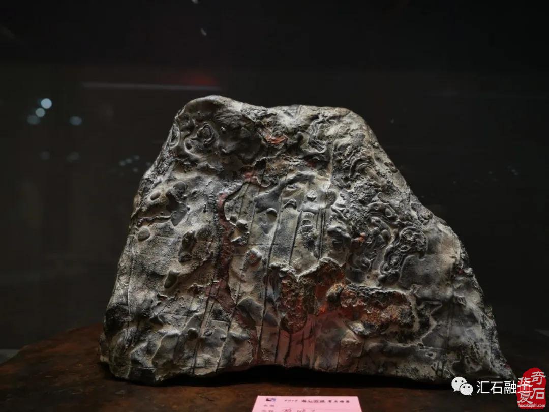 海派赏石有大动作 杜海鸥致辞研修班开班