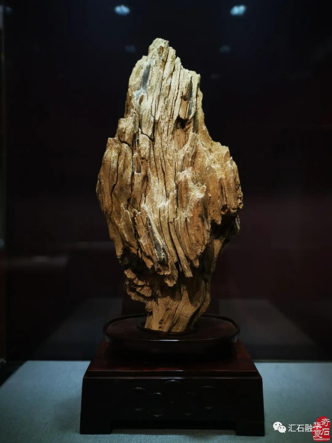 海派赏石有大动作 杜海鸥致辞研修班开班