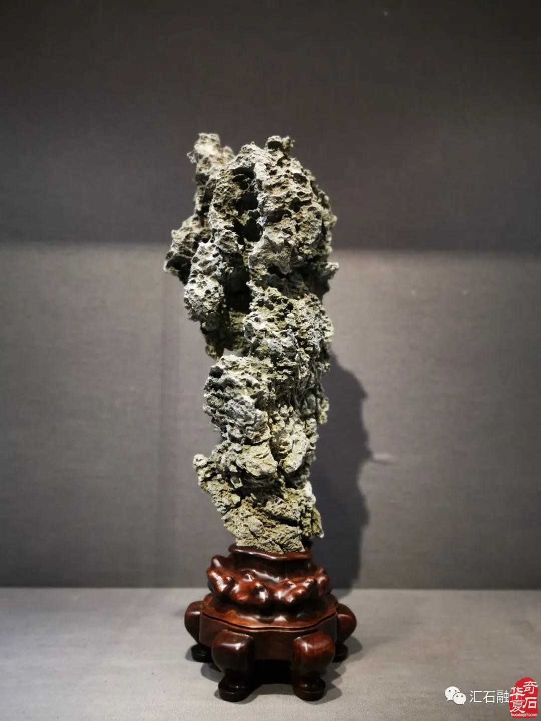 海派赏石有大动作 杜海鸥致辞研修班开班