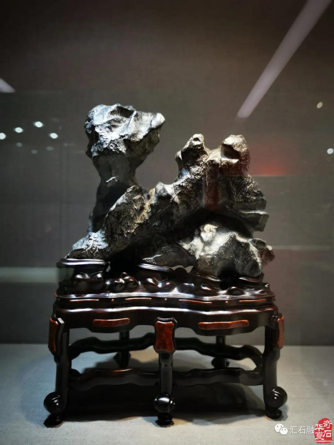海派赏石有大动作 杜海鸥致辞研修班开班