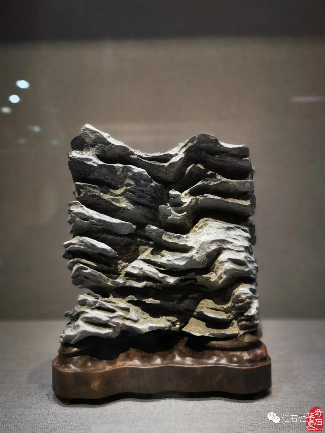 海派赏石有大动作 杜海鸥致辞研修班开班