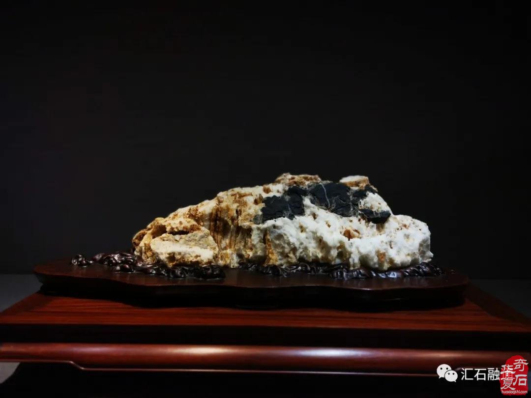 海派赏石有大动作 杜海鸥致辞研修班开班