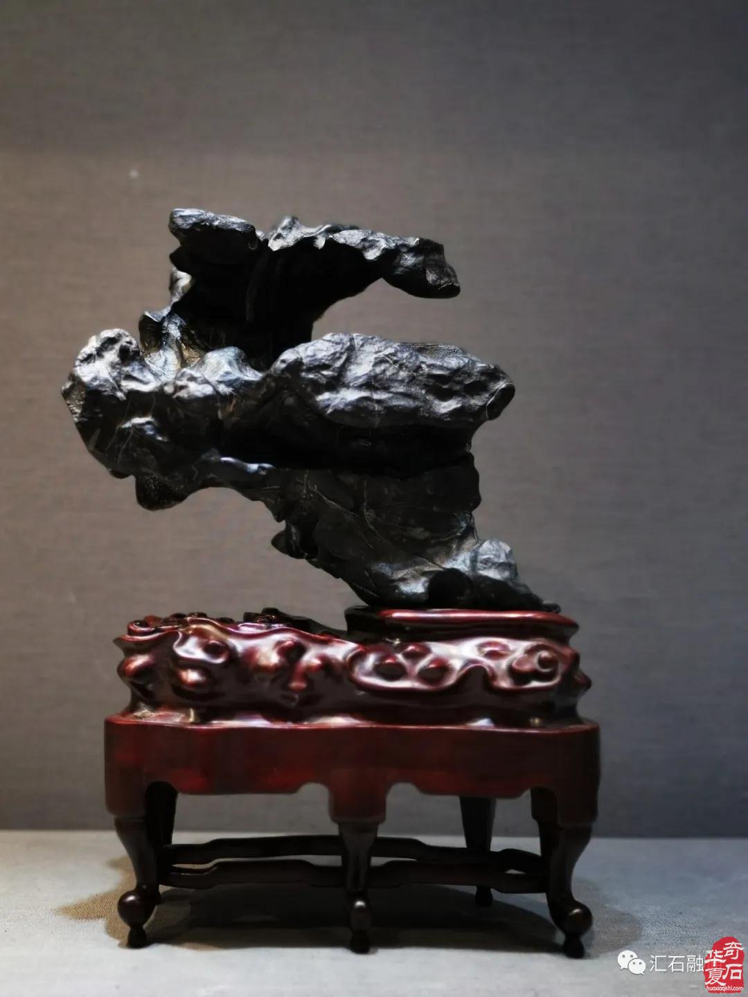 海派赏石有大动作 杜海鸥致辞研修班开班