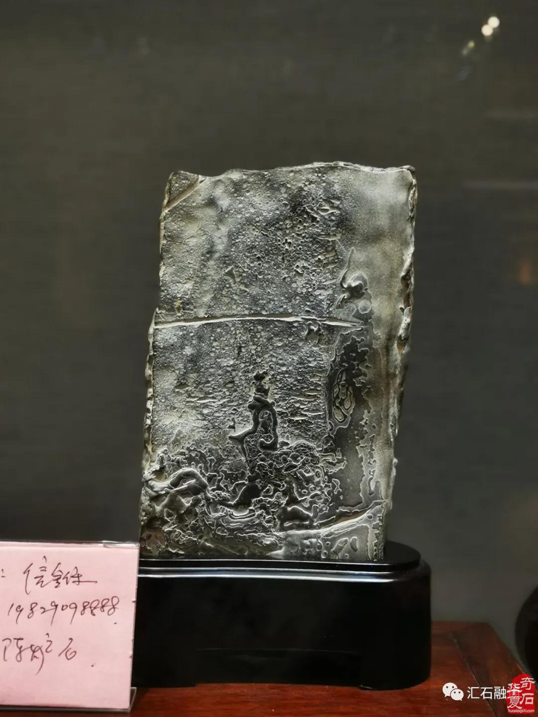 海派赏石有大动作 杜海鸥致辞研修班开班