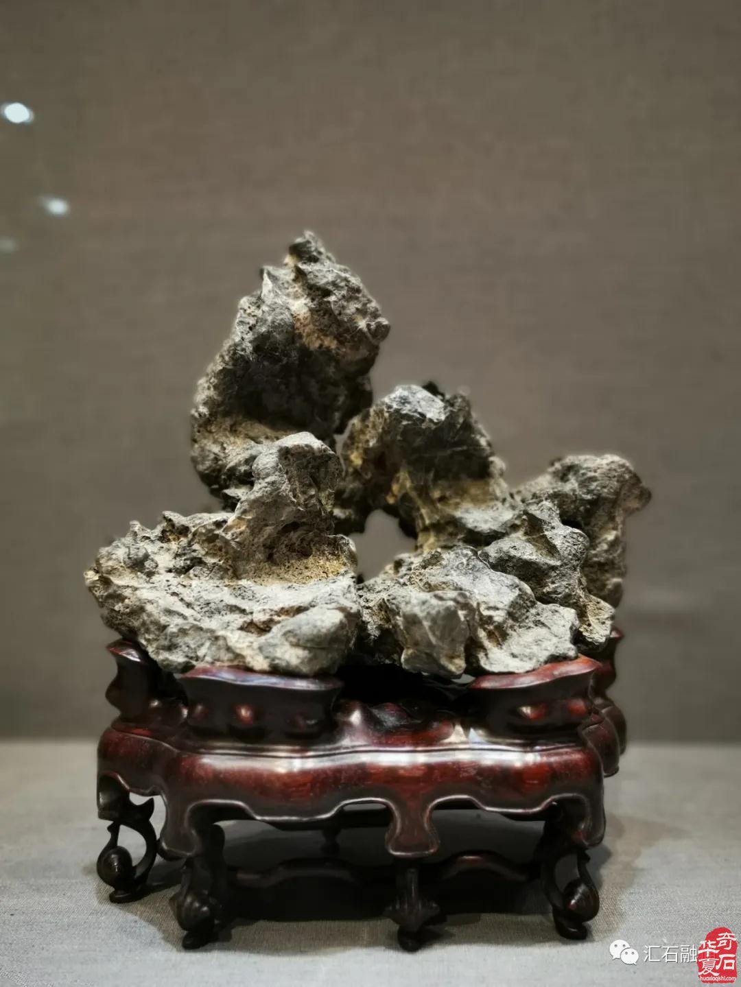 海派赏石有大动作 杜海鸥致辞研修班开班