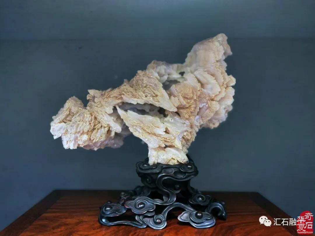 海派赏石有大动作 杜海鸥致辞研修班开班