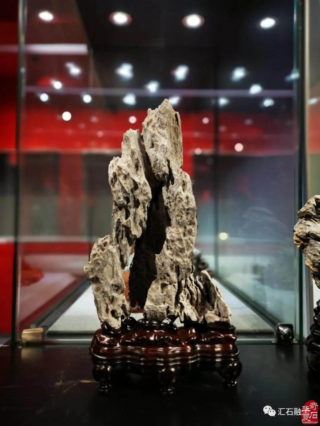 海派赏石有大动作 杜海鸥致辞研修班开班