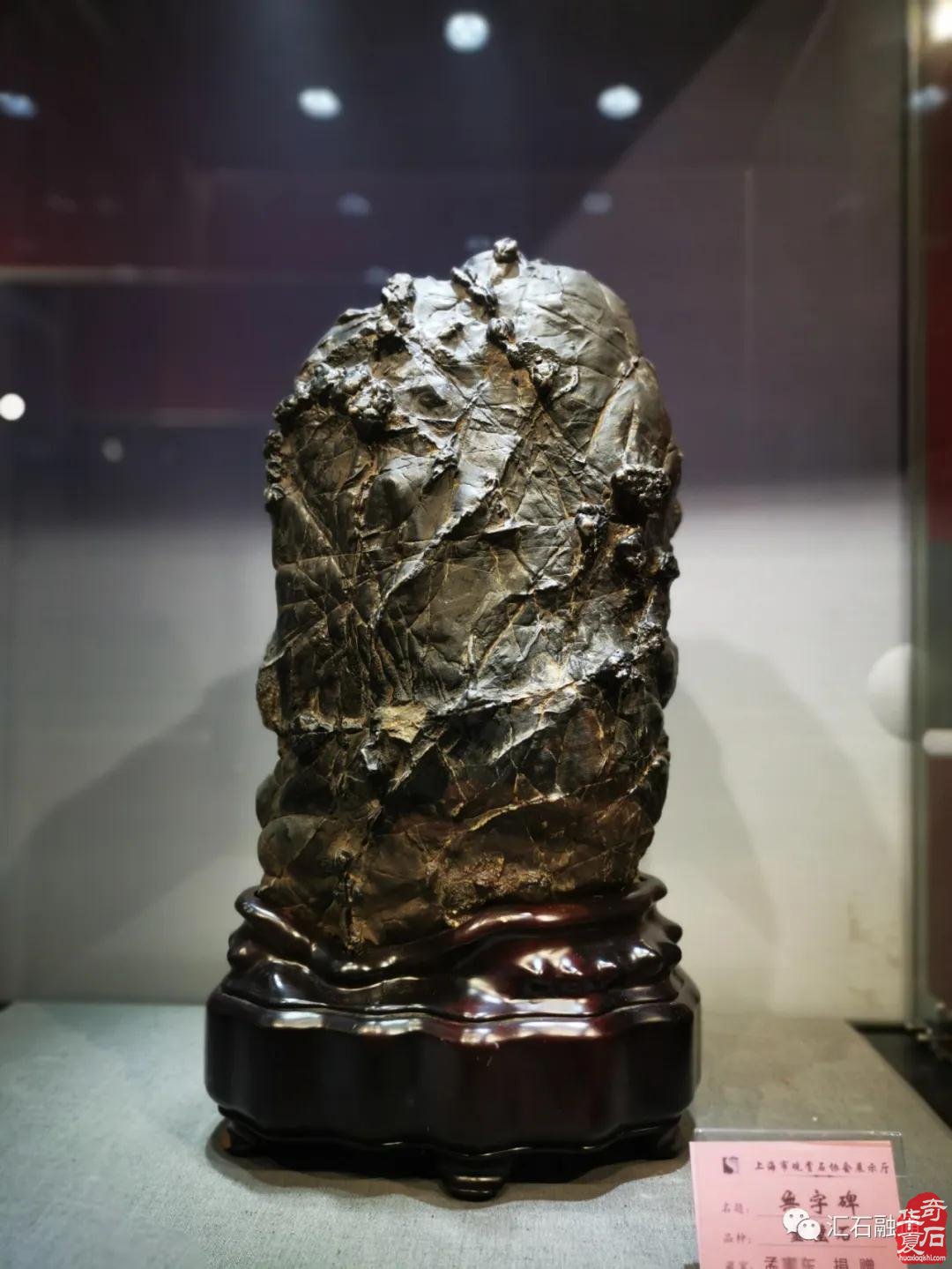 海派赏石有大动作 杜海鸥致辞研修班开班