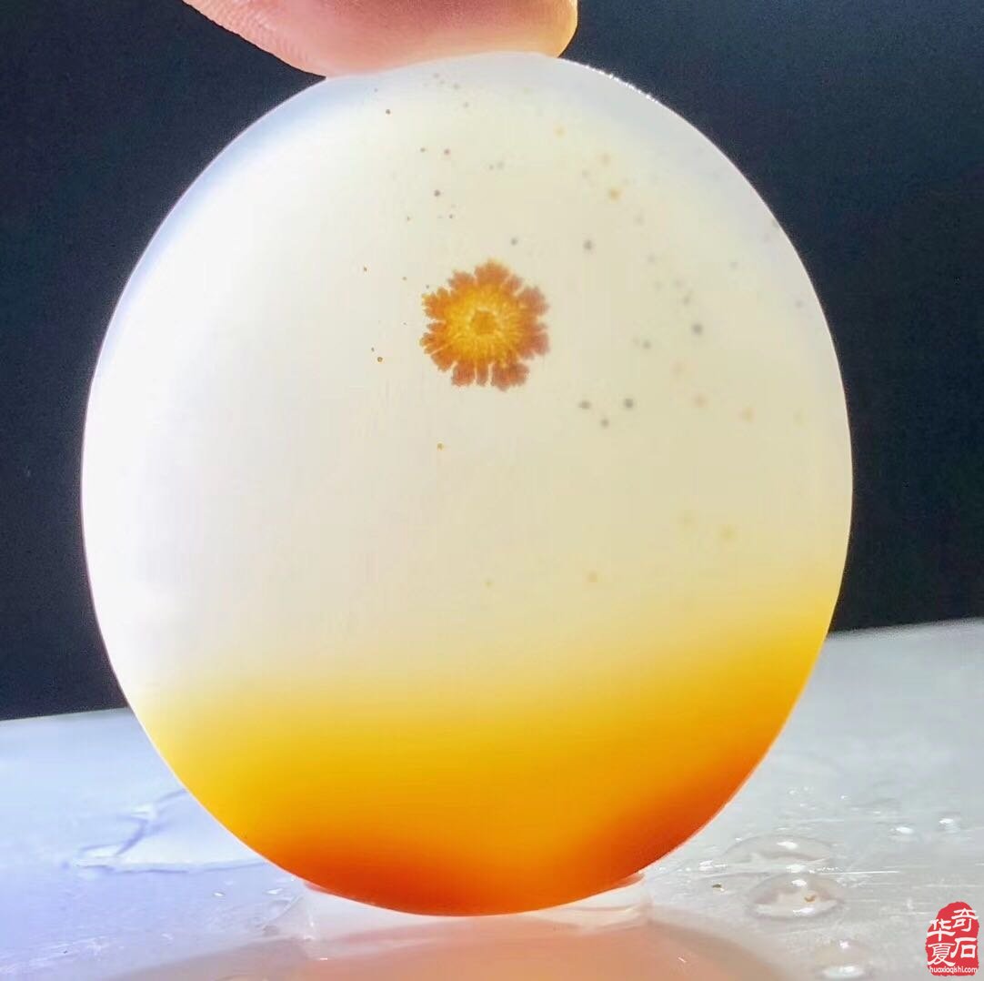 《海玉巴玉一一大美至简》 （一）