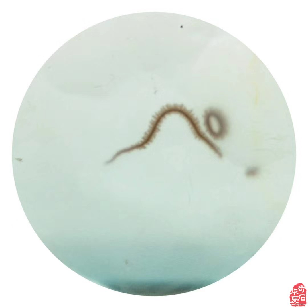 《海玉巴玉一一大美至简》 （一）